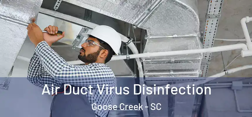  Air Duct Virus Disinfection Goose Creek - SC