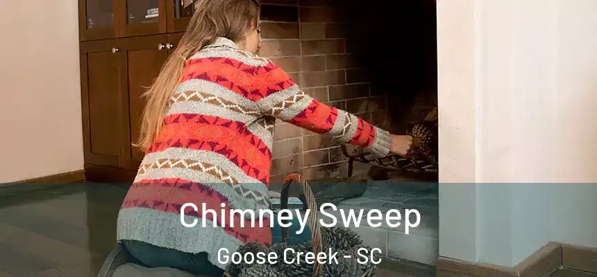  Chimney Sweep Goose Creek - SC