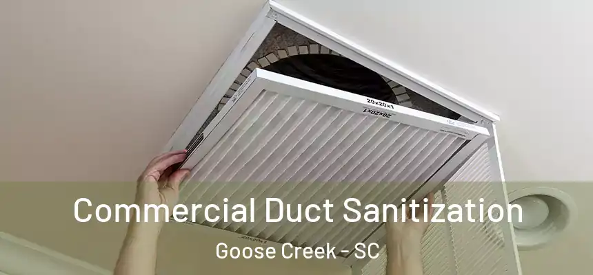 Commercial Duct Sanitization Goose Creek - SC
