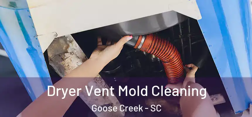 Dryer Vent Mold Cleaning Goose Creek - SC