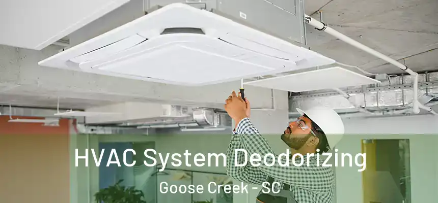 HVAC System Deodorizing Goose Creek - SC
