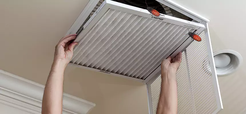 Our Insect Removal from Air Ducts Services in Goose Creek, SC