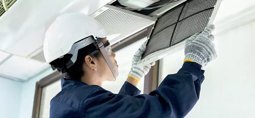 Our Mold & Mildew Removal from Air Ducts Services in Goose Creek, SC