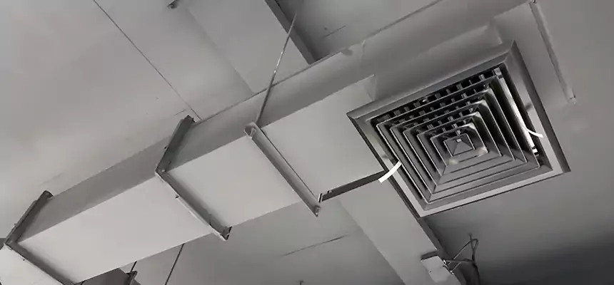 Our Rodent Droppings In Vents Services in Goose Creek, SC