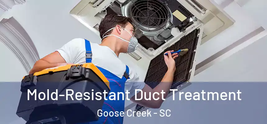  Mold-Resistant Duct Treatment Goose Creek - SC