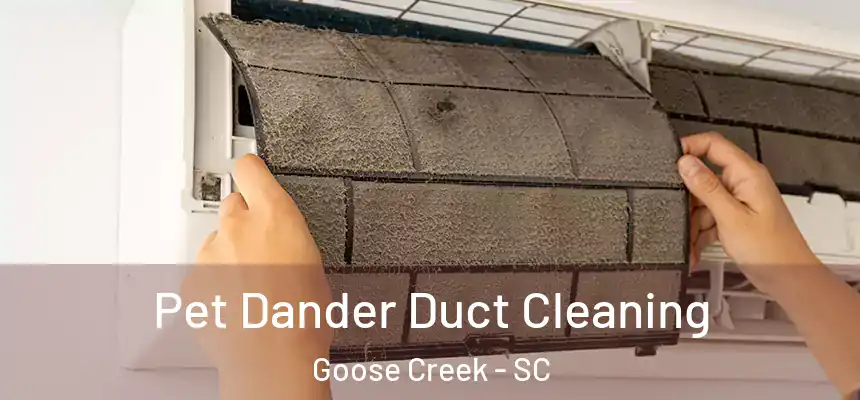  Pet Dander Duct Cleaning Goose Creek - SC