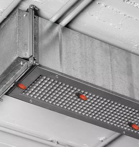About Air Duct Cockroach Removal in Goose Creek, SC
