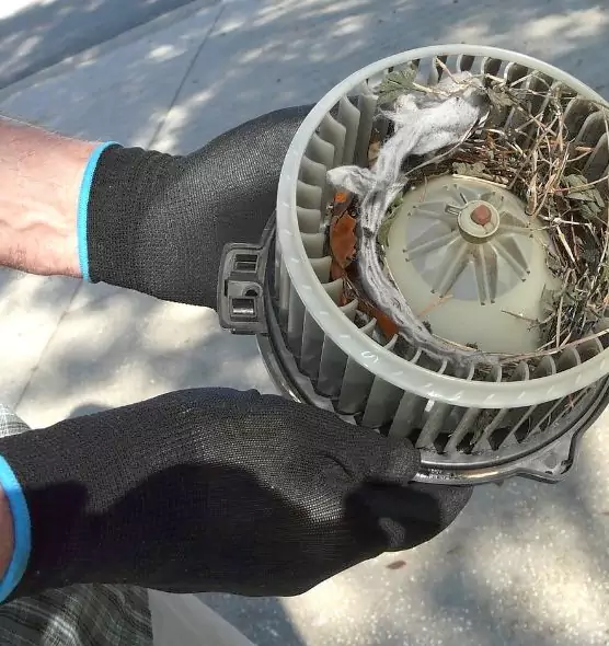 About Air Duct Mice Removal in Goose Creek, SC