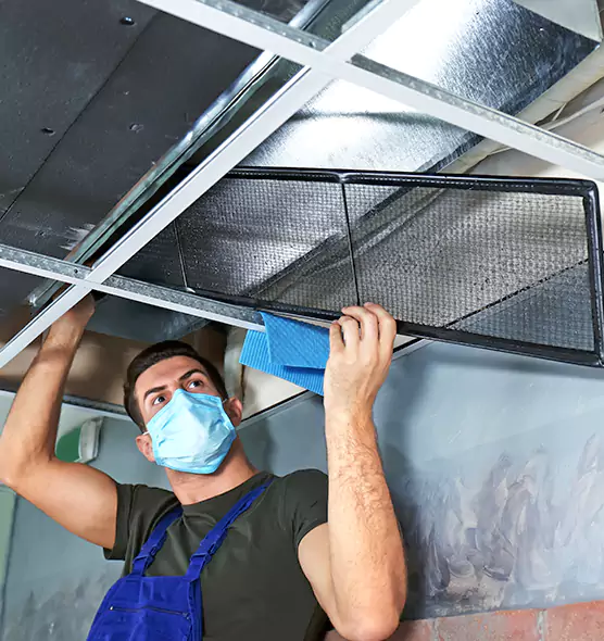 Professional Air Duct Pollen Cleaning in Goose Creek, SC