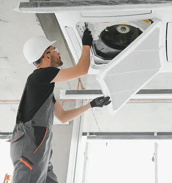 About Air Duct Rodent Removal in Goose Creek, SC