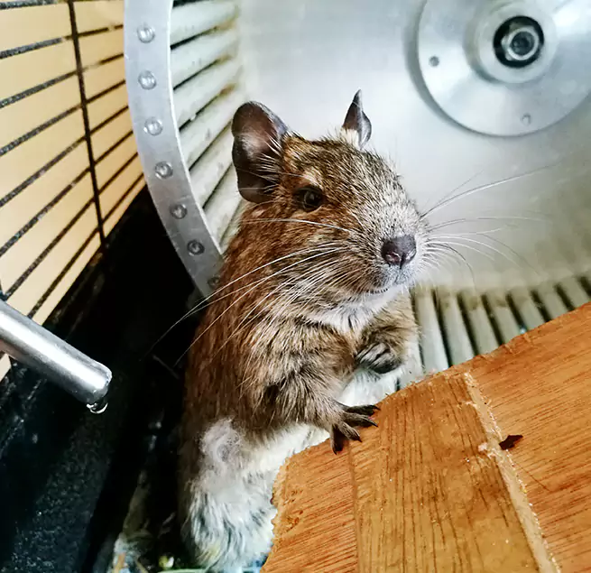 Why Homeowners & Businesses Trust Us Goose Creek, SC