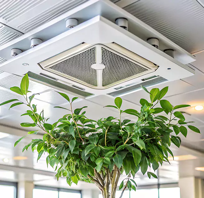 Why Homeowners & Businesses Trust Us in Goose Creek, SC?