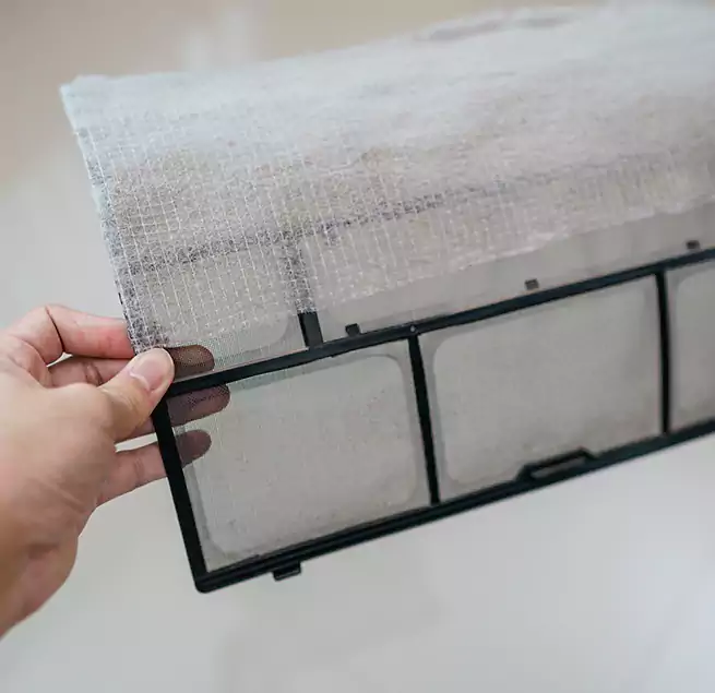 Why Homeowners & Businesses Trust Us in Goose Creek, SC?