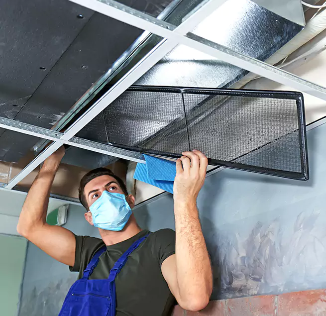 Why Homeowners Businesses Trust Us in Goose Creek, SC?