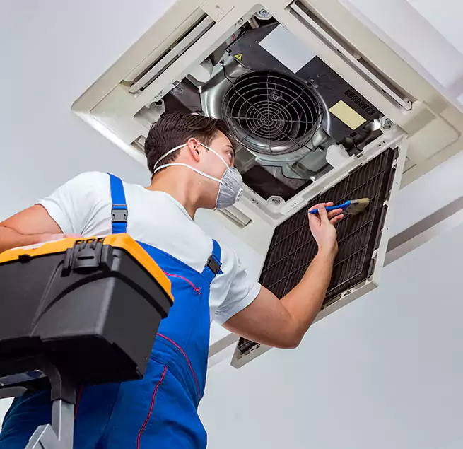 Why Homeowners & Businesses Trust Us in Goose Creek, SC?